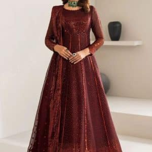 Alizeh Chiffon Frok Sitara work Unstitched