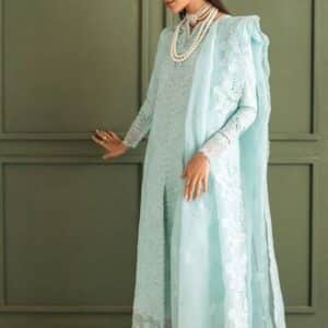 Qalamkar Chikankari Lawn Fabrics
